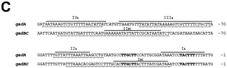 FIG. 7.