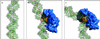 Fig 7.