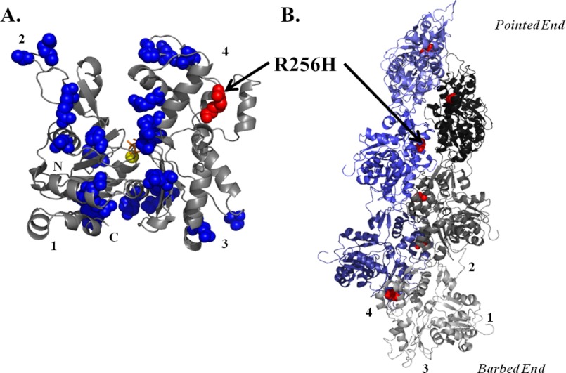 FIGURE 1.