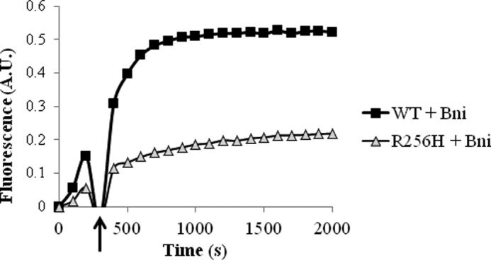 FIGURE 7.