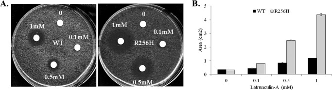 FIGURE 3.