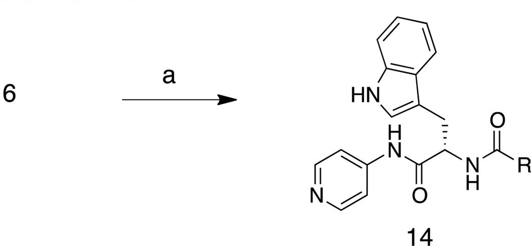 Scheme 2