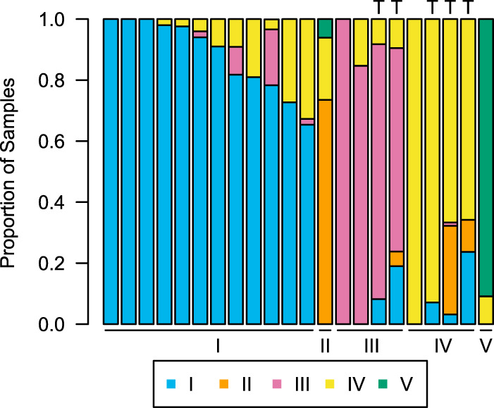 FIG 1