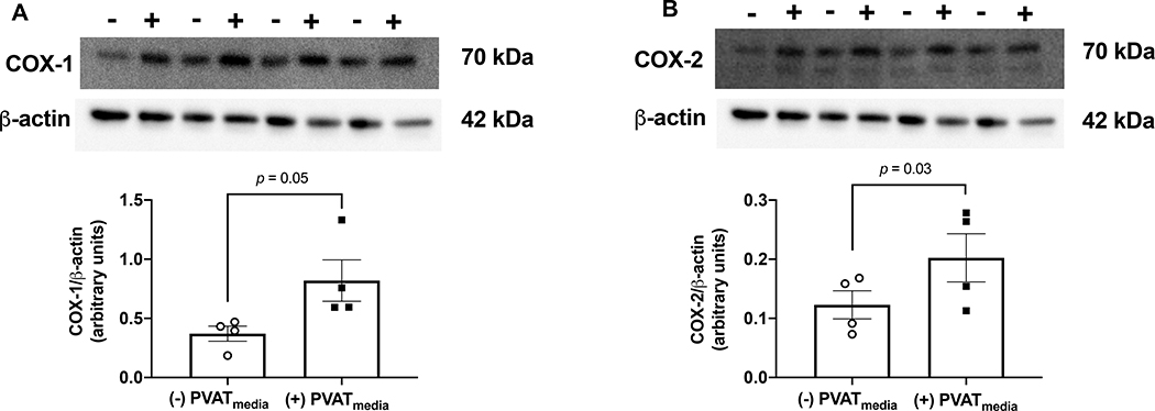 Figure 7: