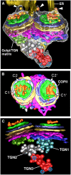 Figure 11.