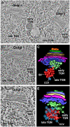 Figure 13.