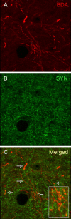 Figure 6.