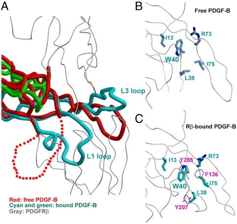 Fig. 4.