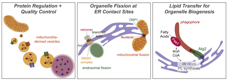 Figure 3