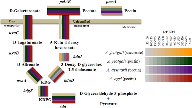 Fig 5