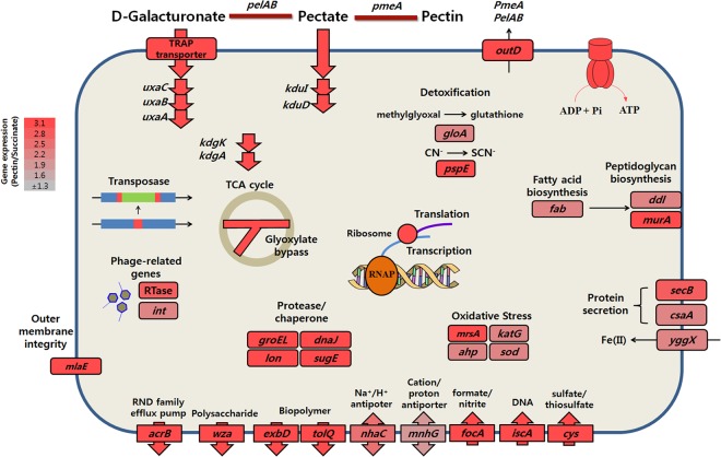 Fig 6