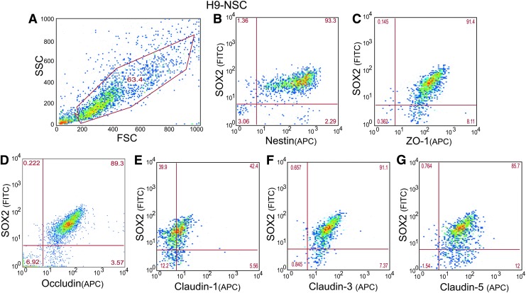 FIG. 2.