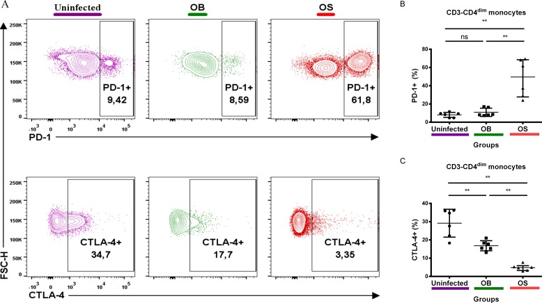 Fig 7