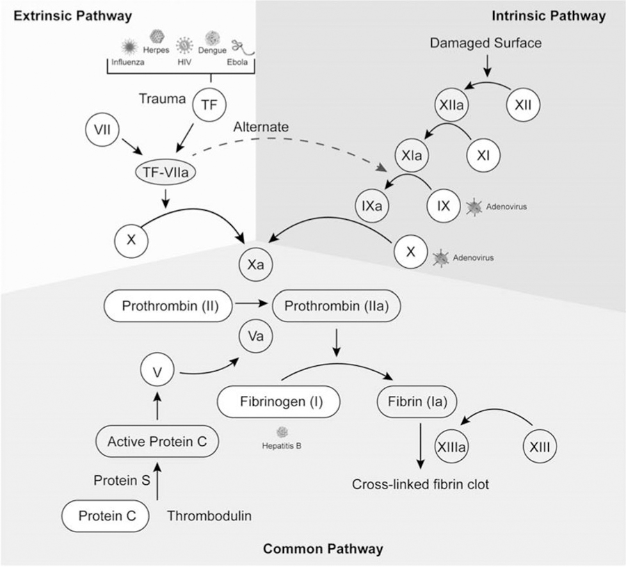 Figure 4: