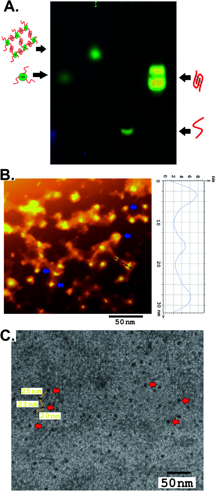 Fig. 2