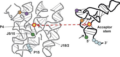 FIGURE 3.