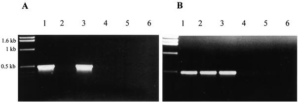 FIG. 6