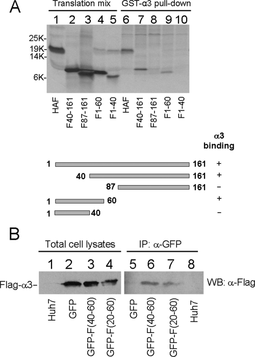 FIG. 5.