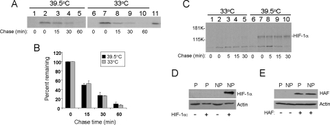 FIG. 8.