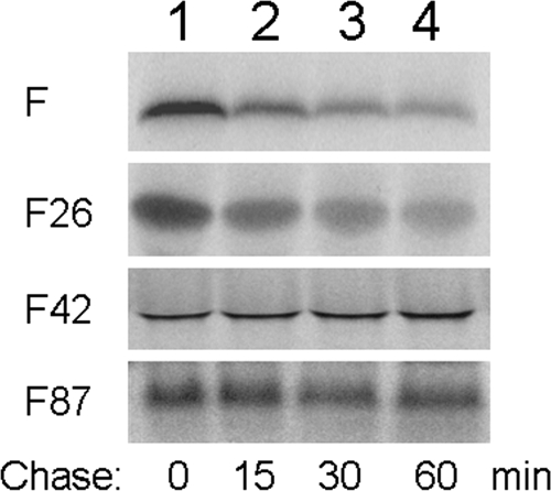 FIG. 11.