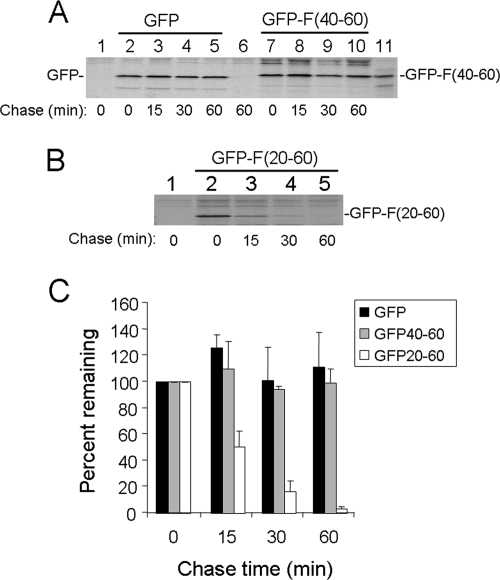 FIG. 6.