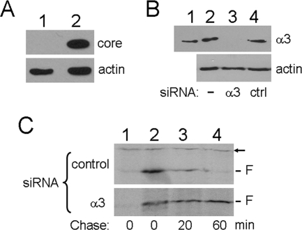 FIG. 10.