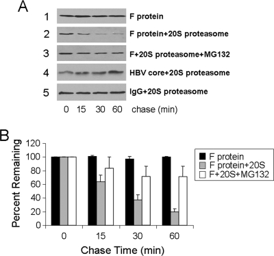 FIG. 9.