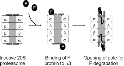 FIG. 12.