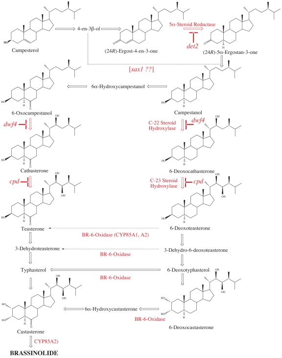 Figure 5.