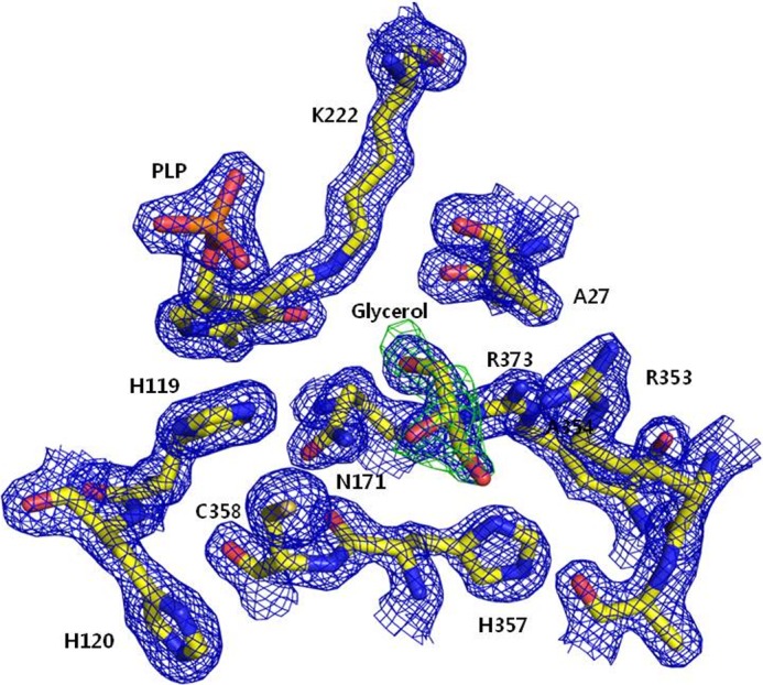 FIGURE 3.