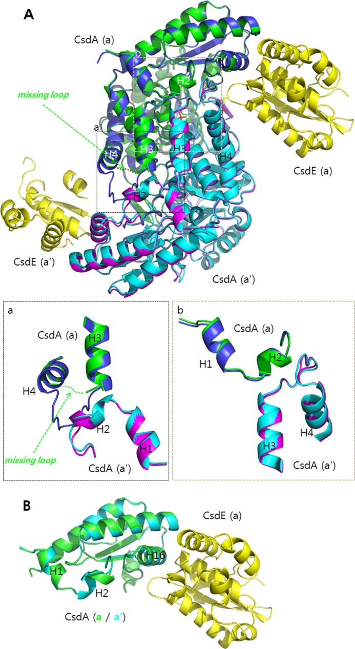 FIGURE 6.