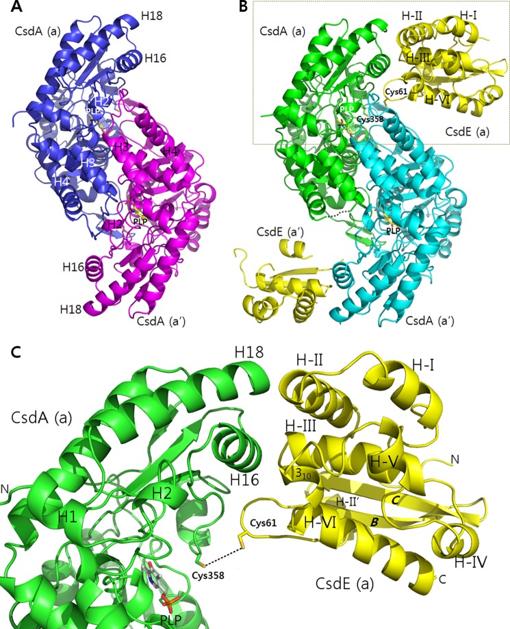 FIGURE 1.