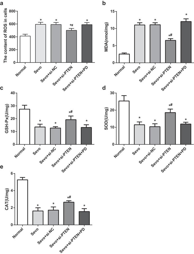 Figure 6.