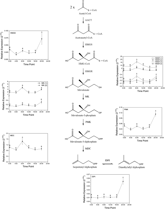 Fig. 8.