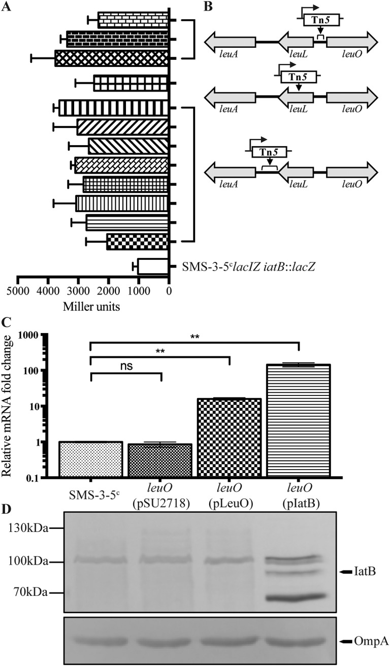 FIG 4