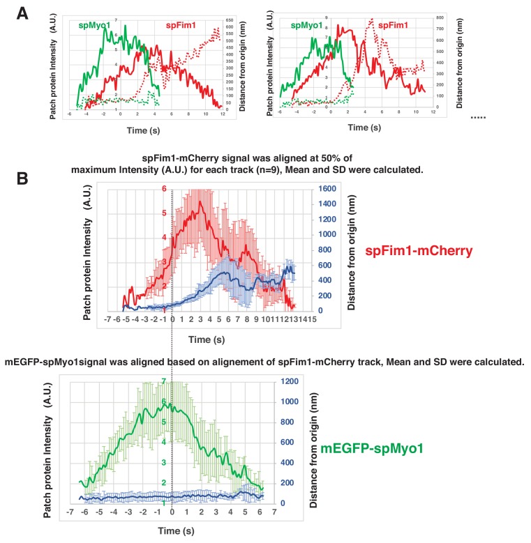 Figure 7—figure supplement 3.