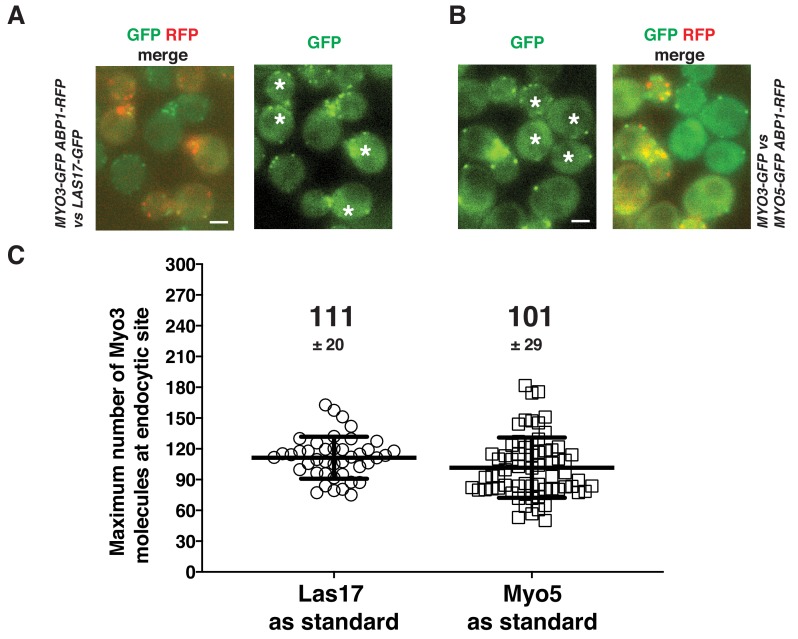 Figure 2—figure supplement 3.