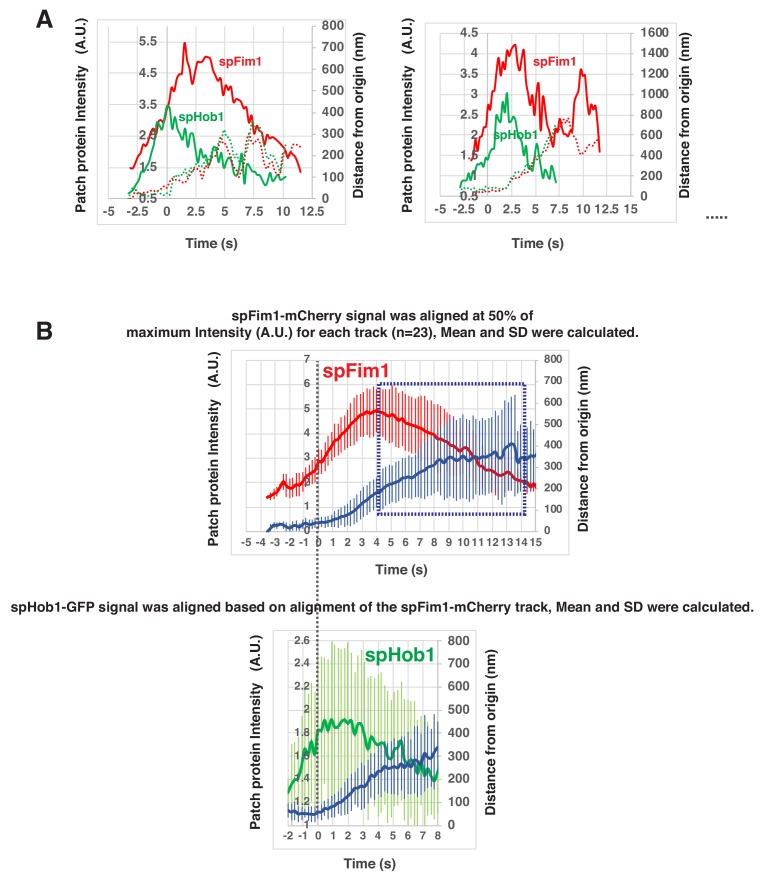 Figure 5—figure supplement 2.