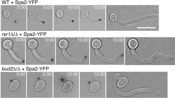 FIG. 10.