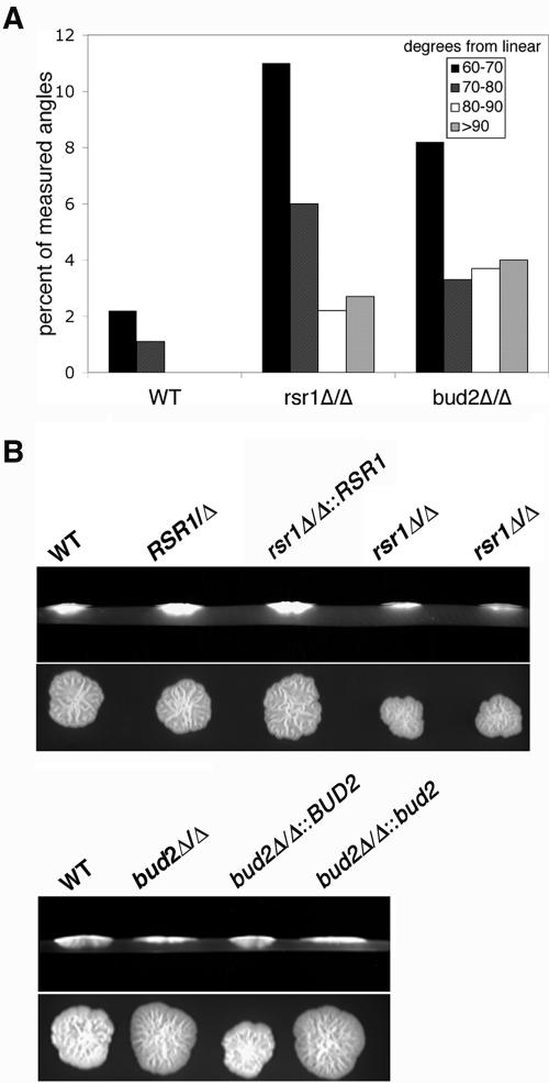 FIG. 9.