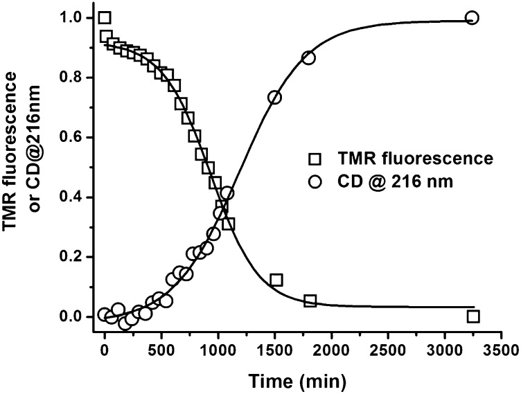 Fig. 1.