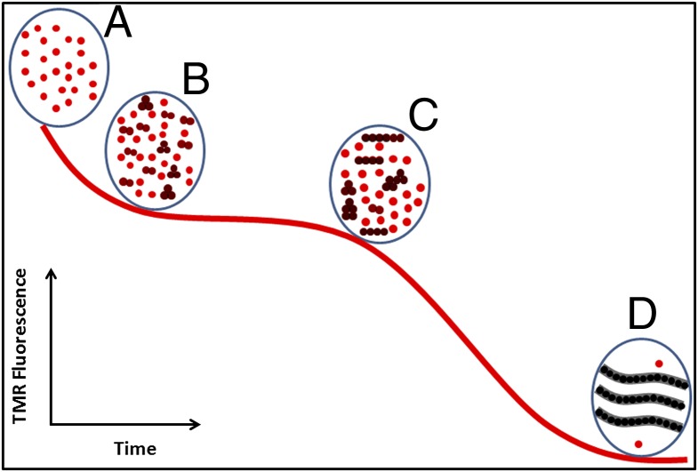 Fig. 8.