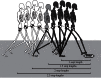Figure 7.
