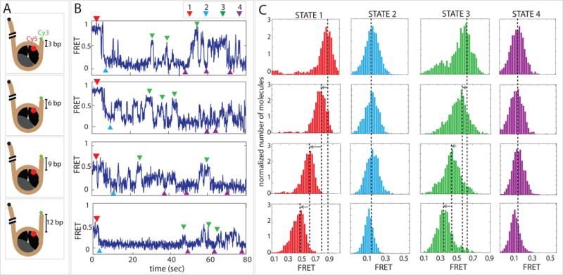 Figure 4