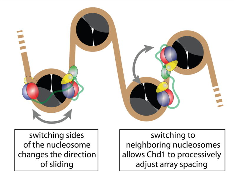 Figure 7