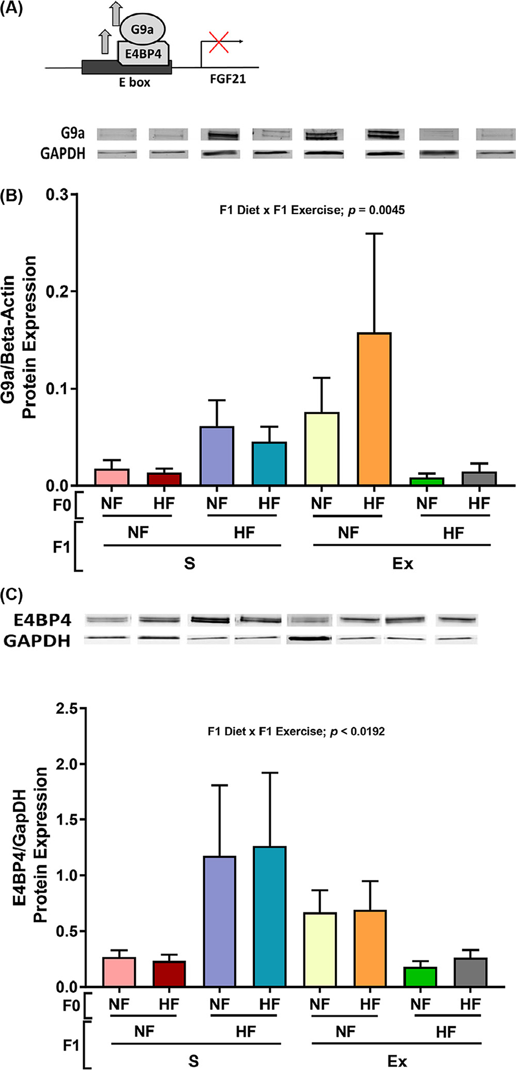 Fig. 6.