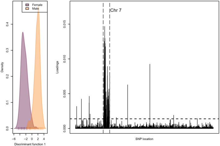 FIGURE 3