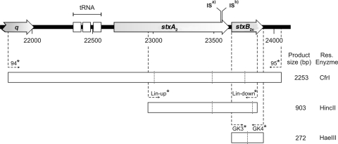 FIG. 7.