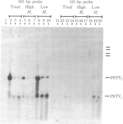 graphic file with name pnas00496-0288-a.jpg