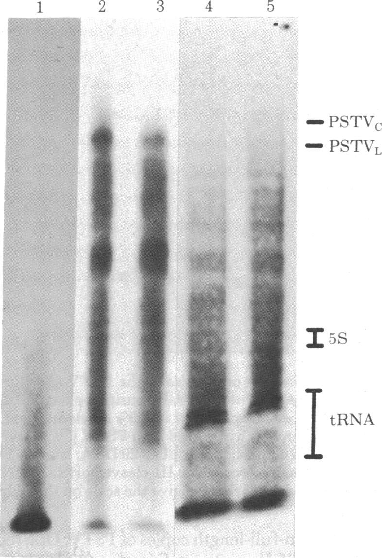 graphic file with name pnas00496-0286-a.jpg